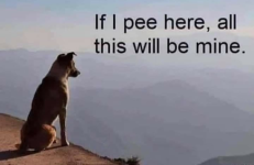1719334104268.png