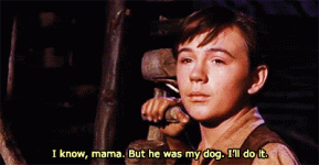1719763017908.gif