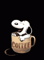 1719908983624.gif