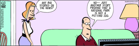 1720049279534.png