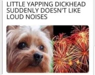 IMG_5141.jpeg