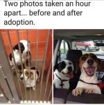 1720237893904.jpeg