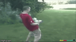 1720240420377.gif