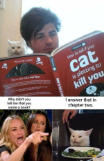 1720831431390.png