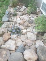 20240714_201325.jpg