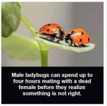 1721037776803.png