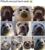 Screenshot_20240715-073757~2.png