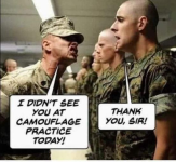 1721307640172.png