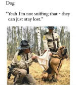 1721358148953.png