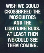 1721443107064.png
