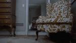 62C08098-F32D-46C8-A15E-00EAF4CE2B14.gif