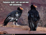 1586194912429.png