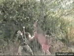 1586460972064.gif