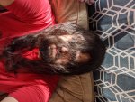 IMG_20200417_163039.jpg