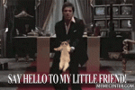 1587899685412.gif