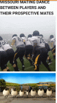 SmartSelect_20200430-142929_Samsung Internet.gif