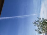 20200505_171546.jpg