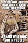 1589797911820.png