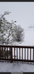 1665D979-9214-4B32-A412-AA37A9F526DD.png