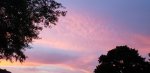 20200531_202957.jpg