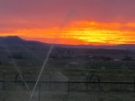 20200602_212834.jpg