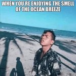 ocean.jpeg
