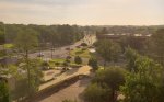 20200605_074229.jpg