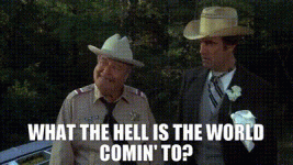 af7b5a8c-4e9a-4dbc-9423-9a4fb1de738c_text.gif