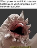 antibiotic-resistant-bacteria-and-you-hear-people-dont-believe-in-evolution-laughs-microscopic...png