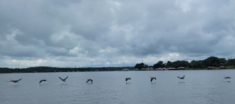 20240724_095240.jpg