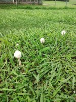 IMG_20240727_092511690.jpg