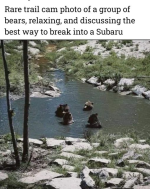 1722300535367.png