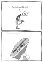 1722354890073.jpeg