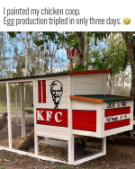 1722811811743.png