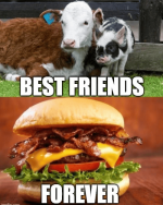 1722986880098.png