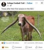 1723027156328.jpeg
