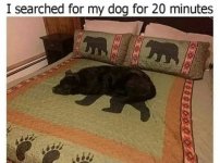 1723221618007.jpeg