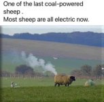 FB_IMG_1723320134010.jpg