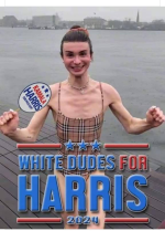 1723857585155.png
