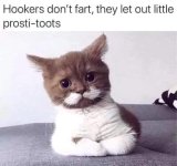 88AD8E49-0E47-41BF-BBF7-B76841C51CD9.jpeg