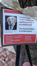 1723926373872.png