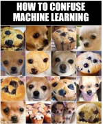 6493FBC8-80DA-4BA4-933A-470A3EFCF48D.png