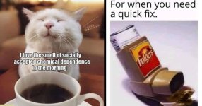 1724150082789.jpeg