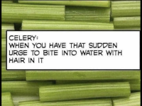 1724838763998.png