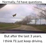 Screenshot_20240828-192418~2.png