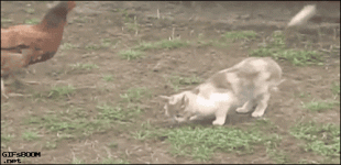 1725798679600.gif