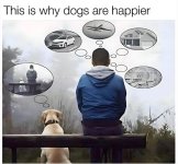 1726026212091.jpeg