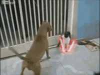 1726340424595.gif