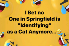 1726531884287.png