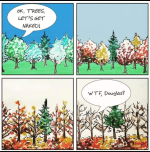 1726659877426.png